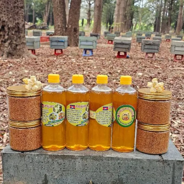 sok-chamroeun-honey_result